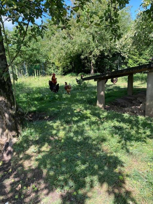 Familienurlaub Mit Hund An Der Ostsee Apartment