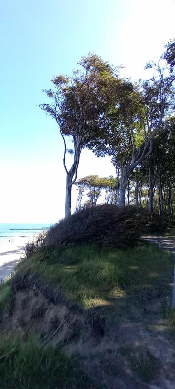 Familienurlaub Mit Hund An Der Ostsee Apartment *