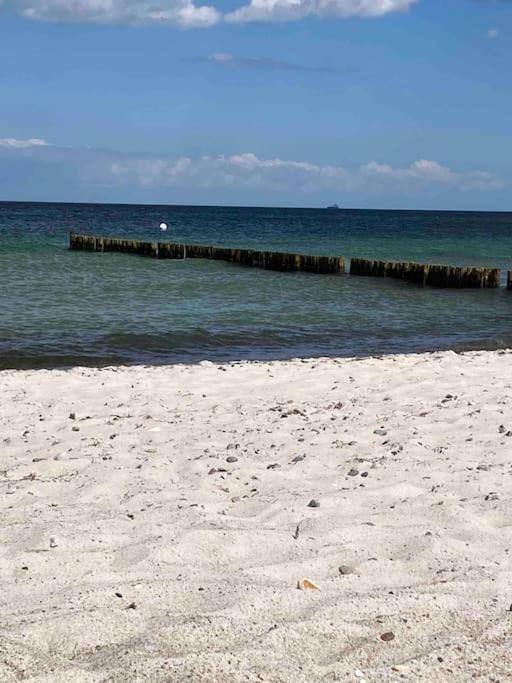 Apartment Familienurlaub Mit Hund An Der Ostsee Admannshagen-Bargeshagen