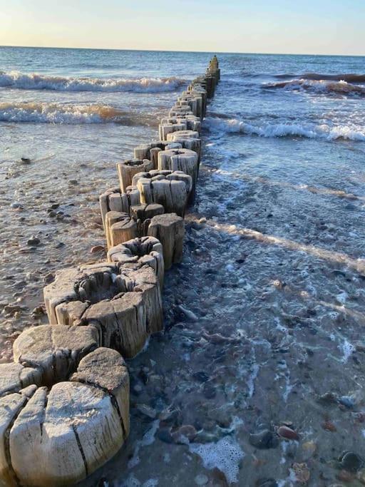 Familienurlaub Mit Hund An Der Ostsee * Admannshagen-Bargeshagen